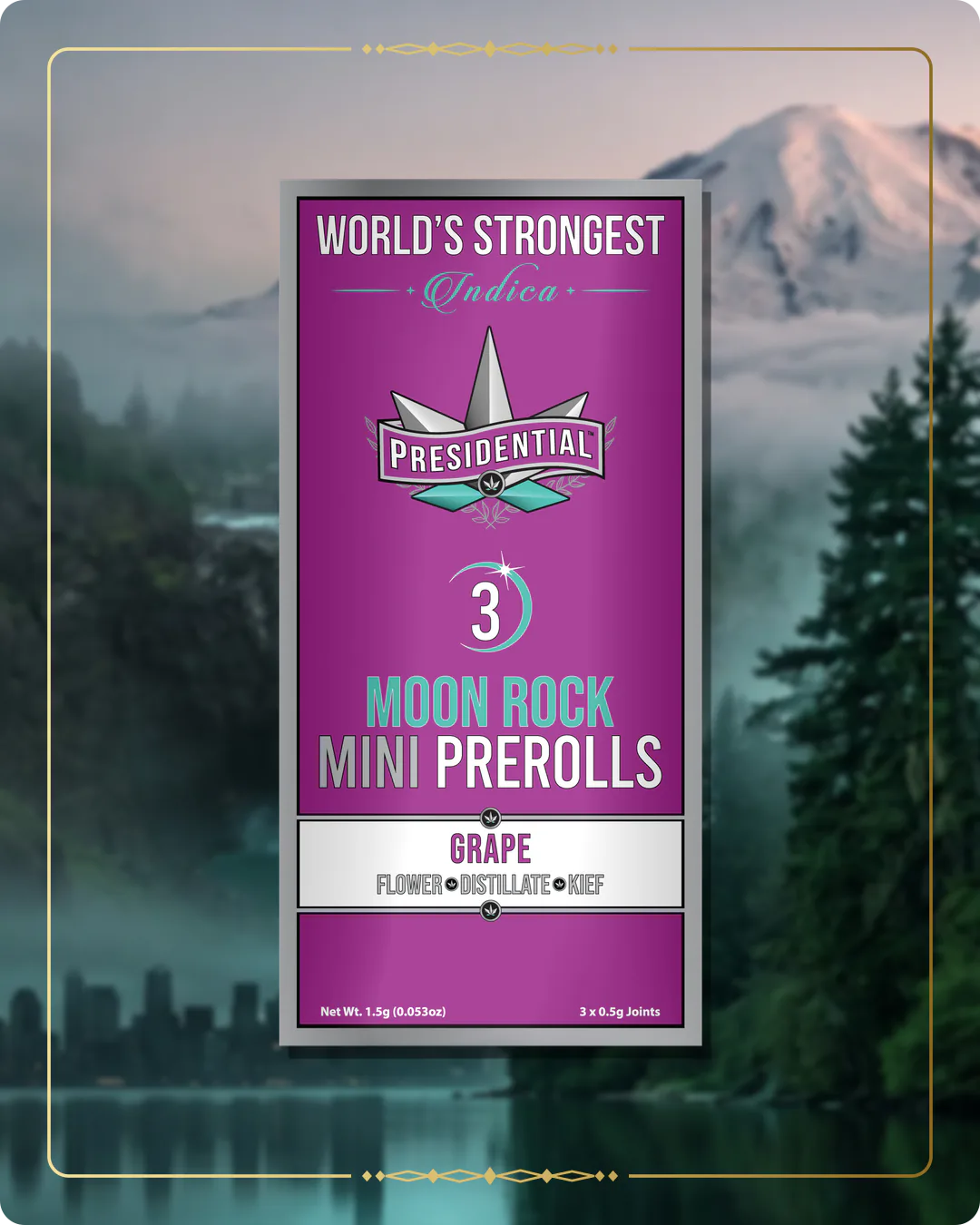 Grape Presidential mini variant 2 for the Washington brand story