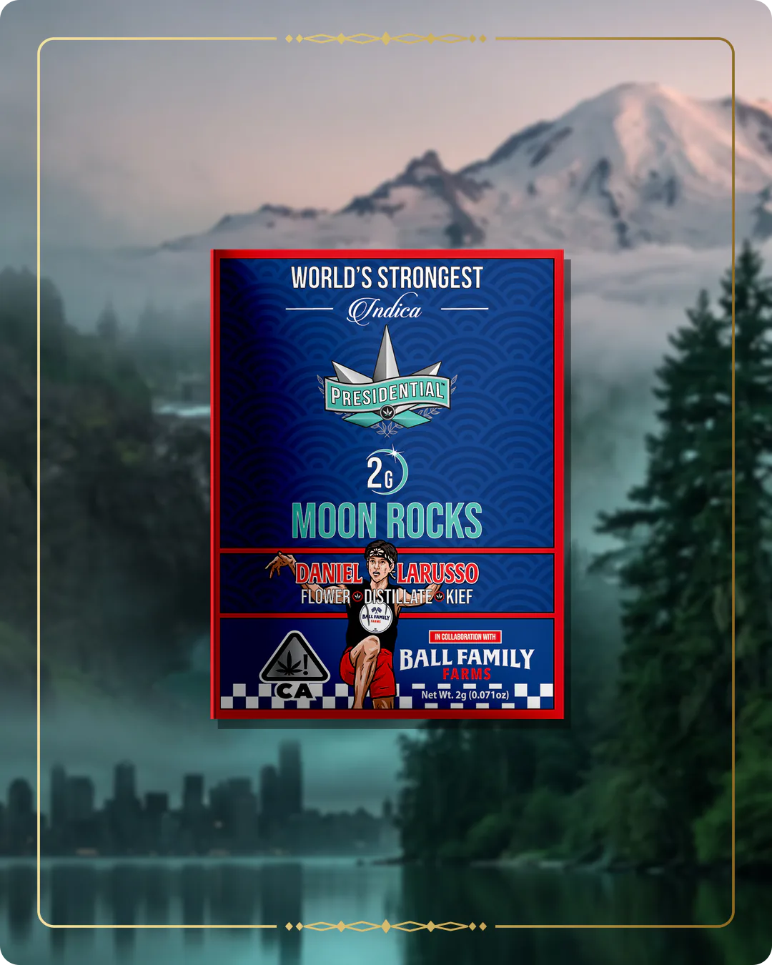 Daniel LaRusso Presidential Moon Rock variant 2 for the Washington Moon Rocks page
