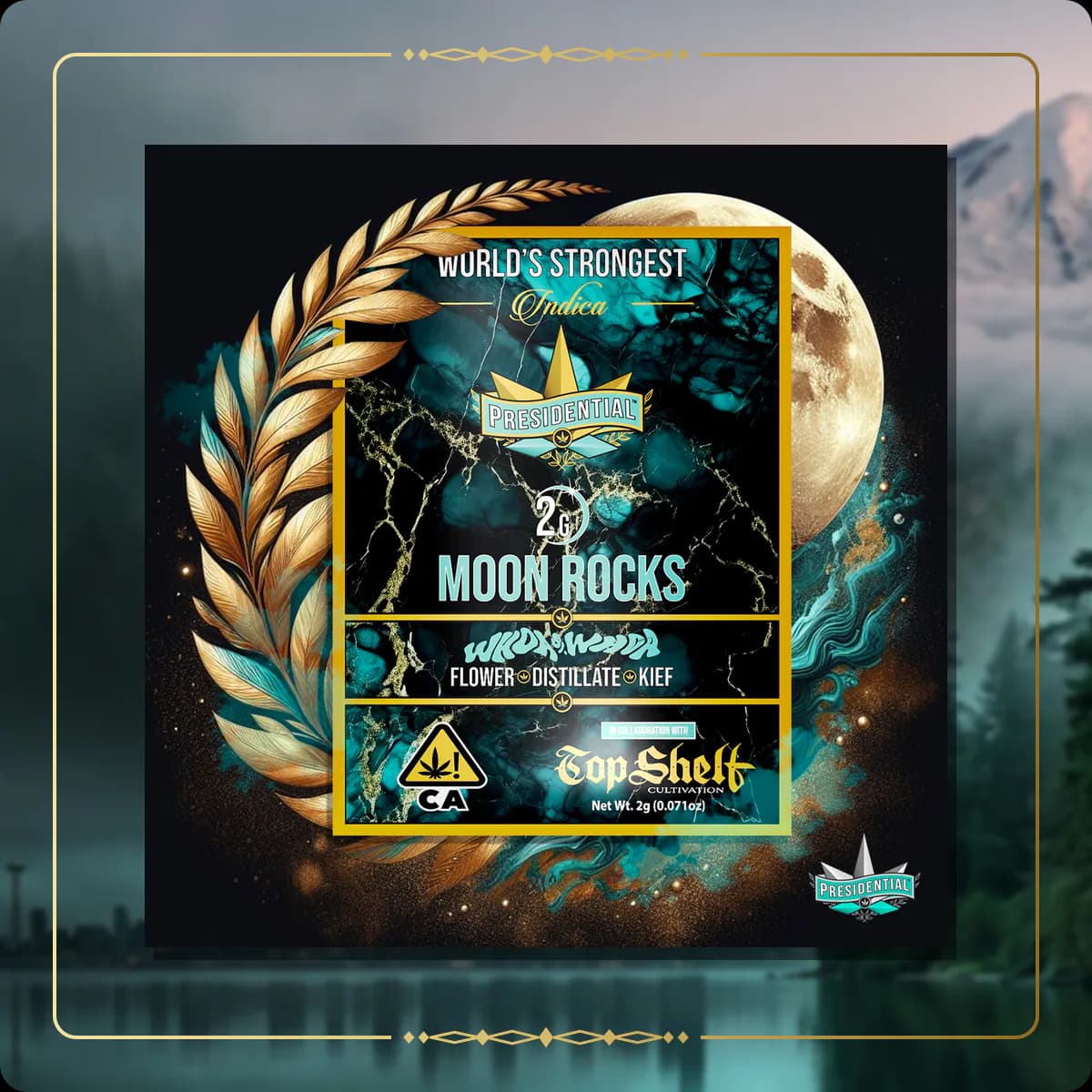 Whoa Si Whoa Presidential Moon Rock variant 2 for the Washington Moon Rocks page