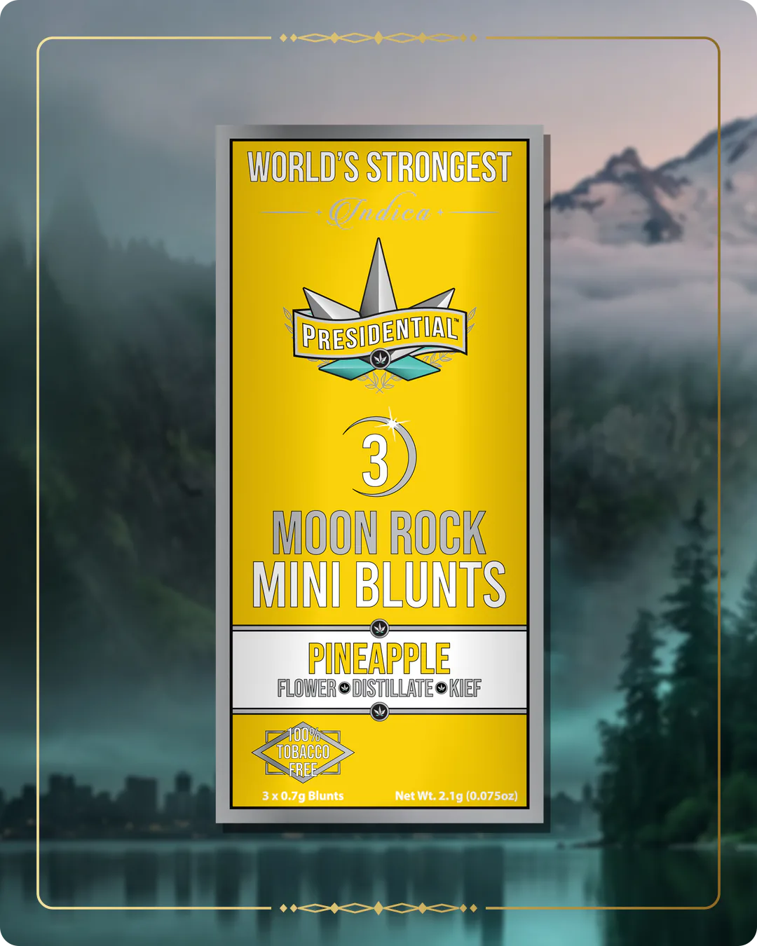 Pineapple Presidential mini for the Washington Find Us page