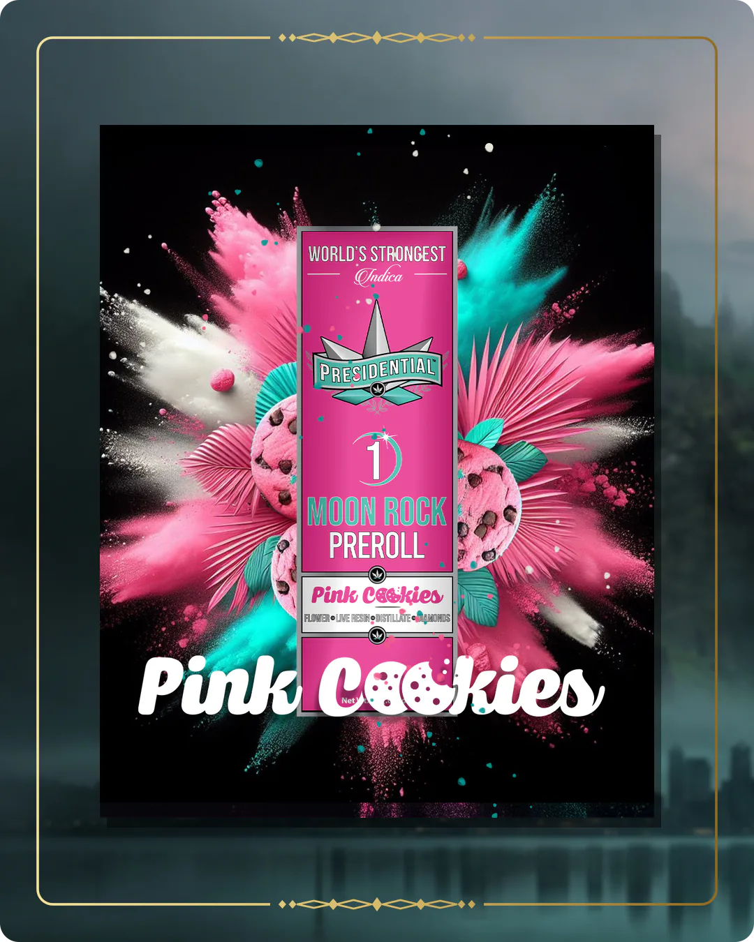 Pink Cookies Presidential pre-roll for the Washington Find Us page