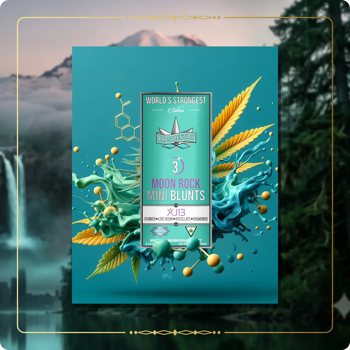 XJ-13 Presidential mini variant 2 for the Washington Gold page