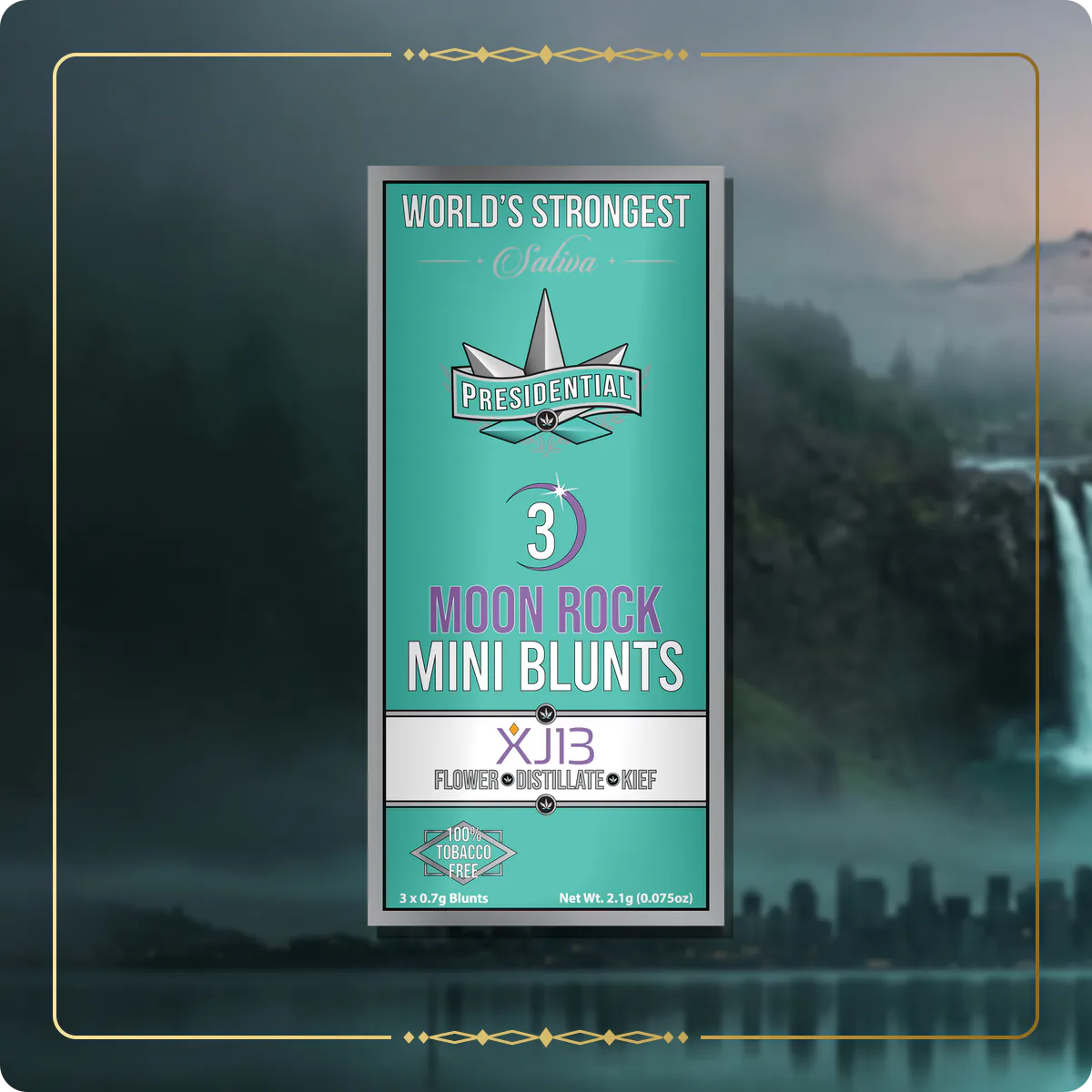 XJ-13 Presidential mini for the Washington Gold page