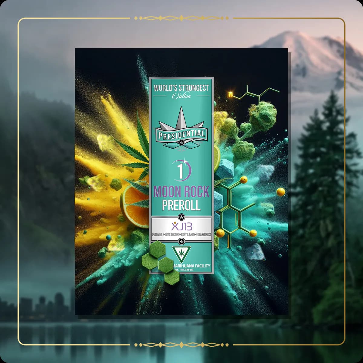 XJ-13 Presidential pre-roll for the Washington Gold page